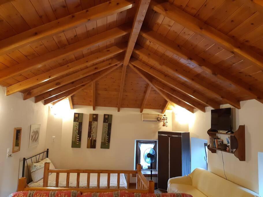 Kouros Villa! Paltsi Pilion Экстерьер фото