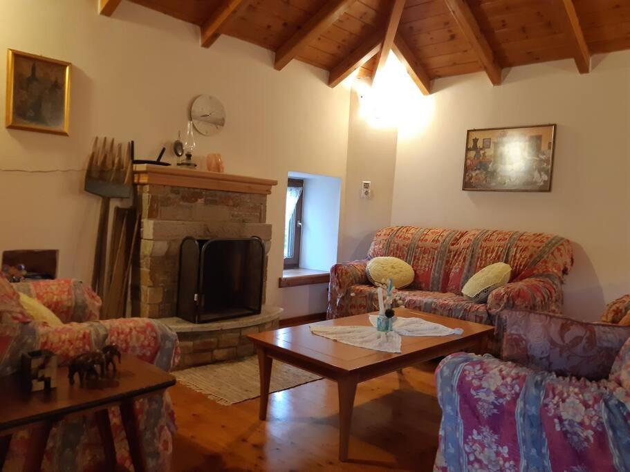 Kouros Villa! Paltsi Pilion Экстерьер фото