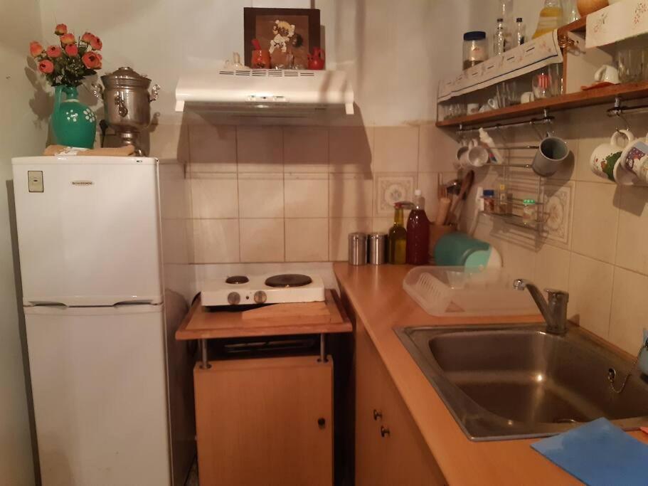 Kouros Villa! Paltsi Pilion Экстерьер фото