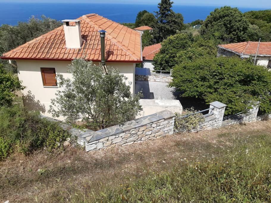 Kouros Villa! Paltsi Pilion Экстерьер фото