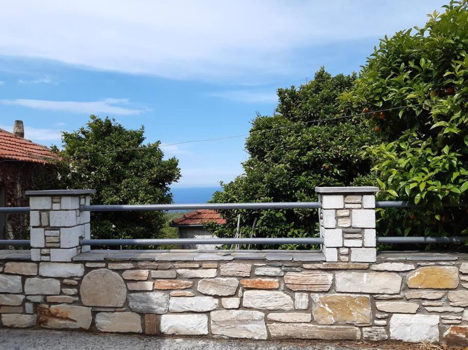 Kouros Villa! Paltsi Pilion Экстерьер фото