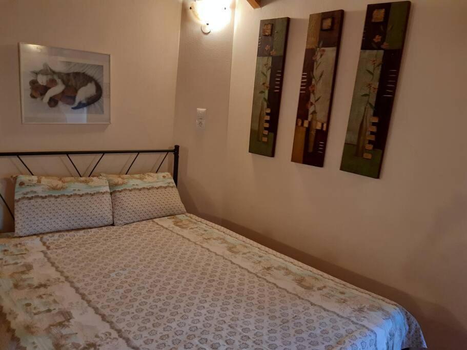 Kouros Villa! Paltsi Pilion Экстерьер фото