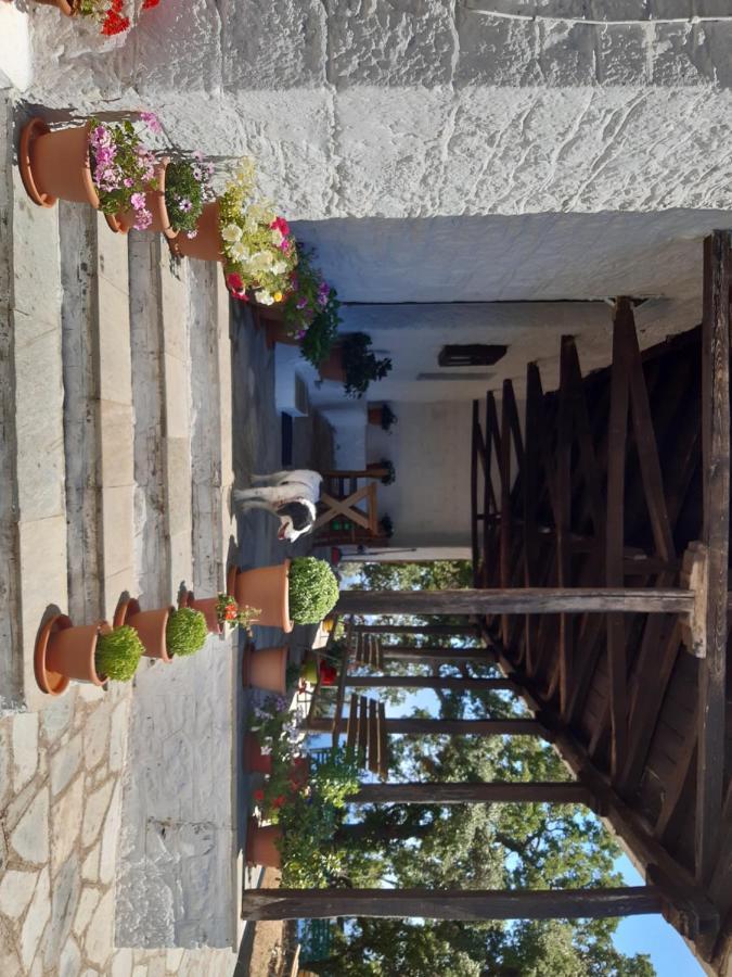 Kouros Villa! Paltsi Pilion Экстерьер фото