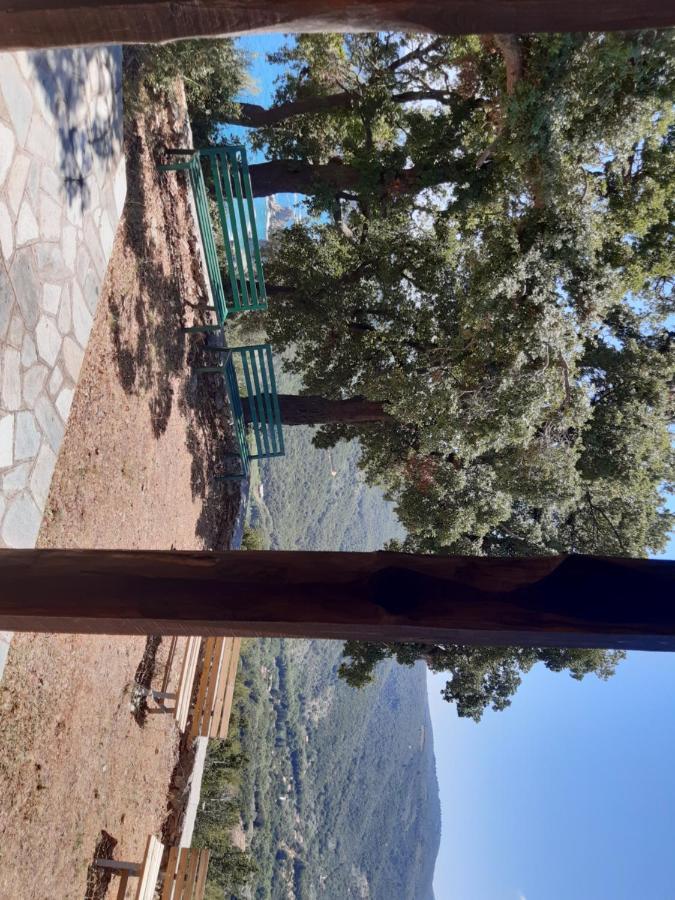 Kouros Villa! Paltsi Pilion Экстерьер фото