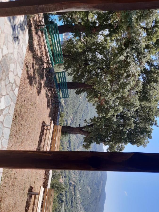 Kouros Villa! Paltsi Pilion Экстерьер фото